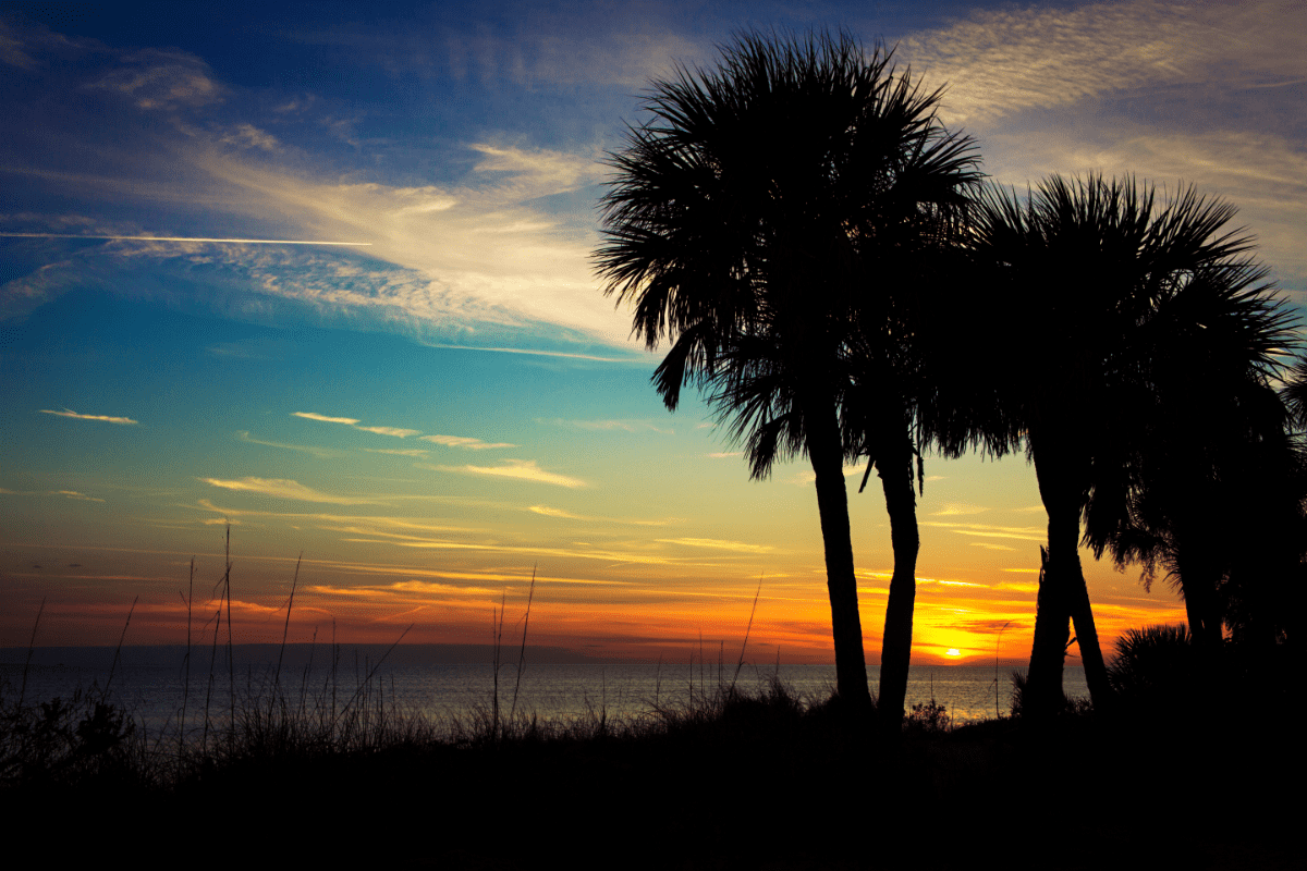 florida substance abuse statistics