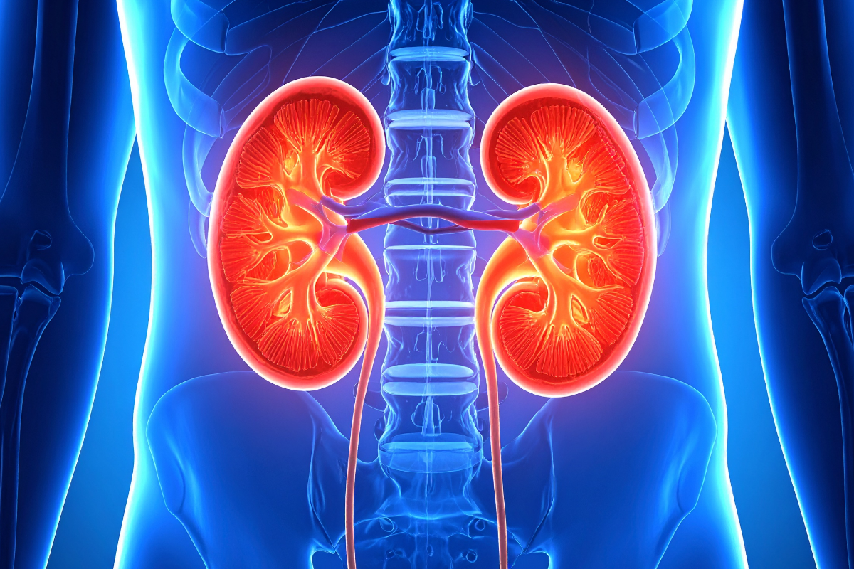 drugs that cause kidney damage