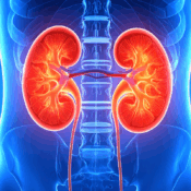 drugs that cause kidney damage