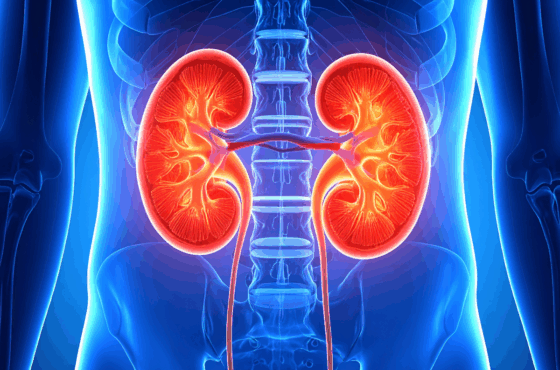 Drugs That Cause Kidney Damage
